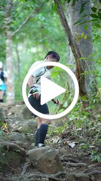 BIB:  <button type="button" onclick="openModal(27644376)" class="btn btn-primary btn-sm float-right" data-toggle="modal" data-target=".modal-high-quality">
                <i class="fa fa-download"></i> Download
                </button>